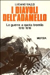 I diavoli dell'Adamello. La guerra a quota Tremila (1915-1918) libro
