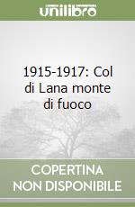 1915-1917: Col di Lana monte di fuoco