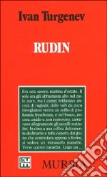 Rudin libro