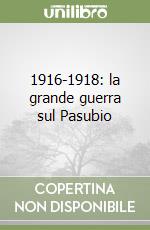 1916-1918: la grande guerra sul Pasubio