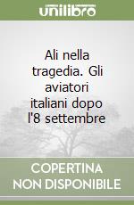 Ali nella tragedia. Gli aviatori italiani dopo l'8 settembre