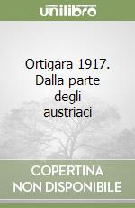 Ortigara 1917. Dalla parte degli austriaci libro