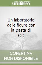 Un laboratorio delle figure con la pasta di sale libro