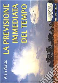 Previsione immediata del tempo