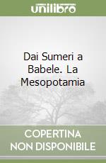 Dai Sumeri a Babele. La Mesopotamia libro