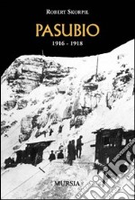 Pasubio 1916-1918 libro