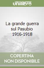 La grande guerra sul Pasubio 1916-1918