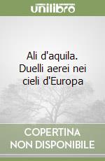 Ali d'aquila. Duelli aerei nei cieli d'Europa