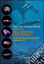 Atlante degli anfipodi mediterranei. Ediz. italiana e inglese libro