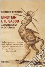 Einstein e il sasso. L'impossibile e la scienza libro