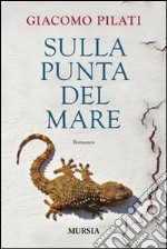 Sulla punta del mare libro