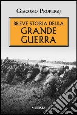 Breve storia della grande guerra libro