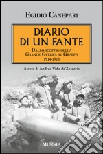 Diario di un fante. Dallo scoppio della grande guerra a Caporetto. 1914-1918 libro