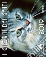 I giorni dei gatti. Calendario 2019 libro