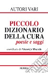 Piccolo dizionario della cura libro