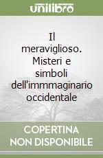 Il meraviglioso. Misteri e simboli dell'immmaginario occidentale libro