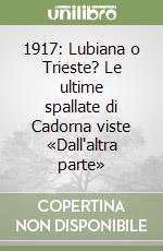 1917: Lubiana o Trieste? Le ultime spallate di Cadorna viste «Dall'altra parte» libro