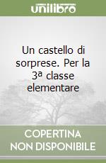 Un castello di sorprese. Per la 3ª classe elementare libro