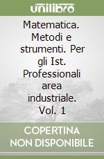 Matematica. Metodi e strumenti. Per gli Ist. Professionali area industriale. Vol. 1 libro