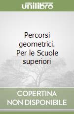 Percorsi geometrici. Per le Scuole superiori libro