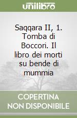 Saqqara II, 1. Tomba di Boccori. Il libro dei morti su bende di mummia libro