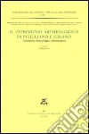 Il patrimonio archeologico di Pitigliano e Sorano. Censimento, monitoraggio, valorizzazione libro