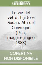 Le vie del vetro. Egitto e Sudan. Atti del Convegno (Pisa, maggio-giugno 1988) libro