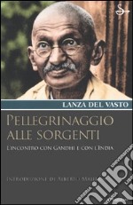 Pellegrinaggio alle sorgenti. Viaggio con Gandhi e con l'India libro