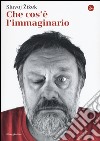 Che cos'è l'immaginario libro