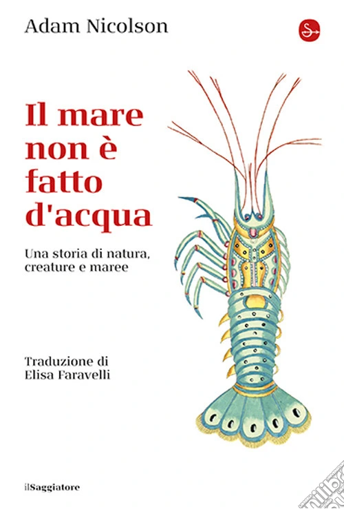 Il mare non è fatto d'acqua. Una storia di natura, creature e maree