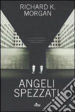 Angeli spezzati libro