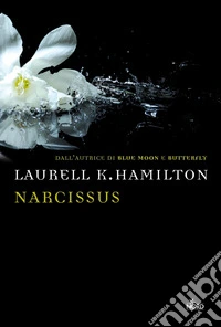 Narcissus