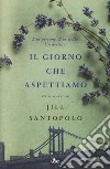 Il giorno che aspettiamo libro di Santopolo Jill