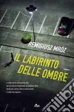 Il labirinto delle ombre