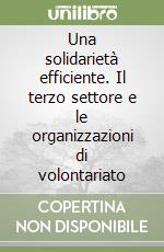 Una solidarietà efficiente. Il terzo settore e le organizzazioni di volontariato libro