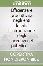 Efficienza e produttività negli enti locali. L'introduzione degli incentivi nel pubblico impiego