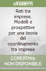 Reti tra imprese. Modelli e prospettive per una teoria del coordinamento tra imprese