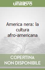 America nera: la cultura afro-americana libro