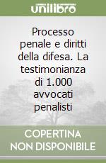 Processo penale e diritti della difesa. La testimonianza di 1.000 avvocati penalisti