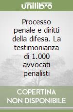 Processo penale e diritti della difesa. La testimonianza di 1.000 avvocati penalisti libro