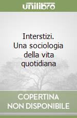 Interstizi. Una sociologia della vita quotidiana libro