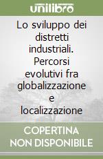 Lo sviluppo dei distretti industriali. Percorsi evolutivi fra globalizzazione e localizzazione