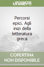 Percorsi epici. Agli inizi della letteratura greca libro