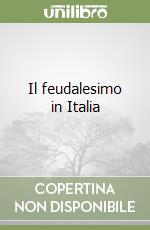 Il feudalesimo in Italia libro