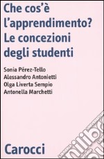 Che cos'è l'apprendimento? Le concezioni degli studenti