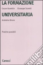 La formazione universitaria. Pratiche possibili libro