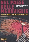 Nel paese delle meraviglie. Che cosa sono i parchi di divertimento libro