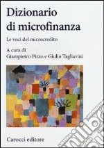 Dizionario di microfinanza. Le voci del microcredito libro