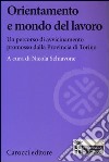 Orientamento e mondo del lavoro. Un percorso di avvicinamento promosso dalla Provincia di Torino libro