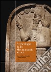 Archeologia della Mesopotamia antica libro